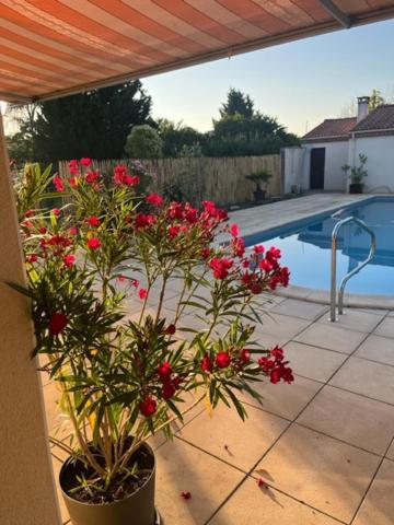 Bed and Breakfast Les Voyages De Louison Lavardac Экстерьер фото